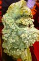 Exquisite Chinese Jade Sculpture Beyond Compare And Very Rare Buddha photo 3
