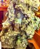 Exquisite Chinese Jade Sculpture Beyond Compare And Very Rare Buddha photo 5