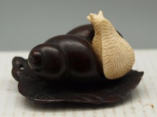 Hand Carved Japanese Wooden & Bone Netsuke - Snail On Leaf - Moving Parts photo