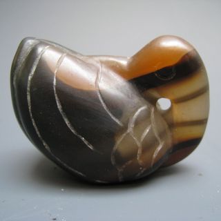China ' S Tibet Gorgeous Hand - Carved Agate Swan Charm Nr photo