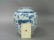 Chinese Ming Period Blue And White Jar With Foo Lions 17th C. Vases photo 1