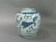 Chinese Ming Period Blue And White Jar With Foo Lions 17th C. Vases photo 3