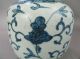 Chinese Ming Period Blue And White Jar With Foo Lions 17th C. Vases photo 5