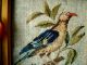 Antique Framed Miniature Woolwork Embroidery Sampler Of A Bird C1880 Samplers photo 2