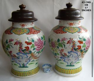 & Rare Pair Large Chinese 18c Qianlong Famille Rose Baluster Jars / Vases photo