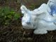 Hirado Porcelain Kannon On An Ox Or Large Water Buffalo Statues photo 7