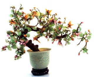 Chinese Jade Tree With Celadon And Stand photo