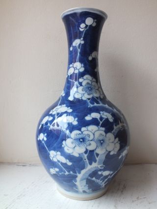 19th C Chinese Porcelain Blue And White Prunus Vase photo