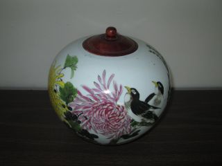 Large Antique - Vintage Chinese Covered Ginger Jar Vase - Birds & Flora photo