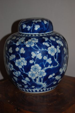 Large Chinese Porcelain Prunus Ginger Jar - 19thc photo
