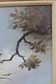 Large Vintage Wah Kee Wu Chinese O/c Oil Paintings Ducks Landscape Nr Paintings & Scrolls photo 10