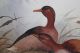 Large Vintage Wah Kee Wu Chinese O/c Oil Paintings Ducks Landscape Nr Paintings & Scrolls photo 6