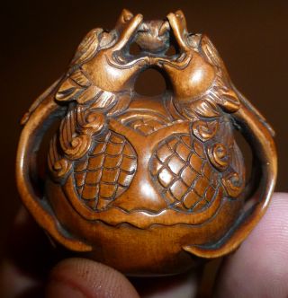 Fine Netsuke Rare Anaborinetsuke Double Dragons & Pearl Intricately Carved C20th photo