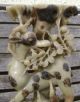 Antique Chinese Soapstone Deer And Bird Group Figures 18th/19th Century Other photo 1