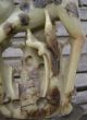Antique Chinese Soapstone Deer And Bird Group Figures 18th/19th Century Other photo 2