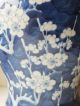 19th C Chinese Porcelain Blue And White Prunus Baluster Vase And Cover Vases photo 2