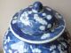 19th C Chinese Porcelain Blue And White Prunus Baluster Vase And Cover Vases photo 3
