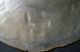 Huge Rare C.  1800 Cantonese Chinese Shell Carved Both Sides Mother Of Pearl Other photo 9