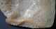 Huge Rare C.  1800 Cantonese Chinese Shell Carved Both Sides Mother Of Pearl Other photo 4