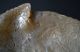 Huge Rare C.  1800 Cantonese Chinese Shell Carved Both Sides Mother Of Pearl Other photo 5