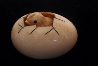 Rare Antique Oxbone Netsuke Chick In Egg,  Artist Signed Twice photo