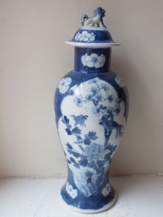 19th C Chinese Porcelain Blue And White Birds Vase And Cover photo