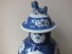 19th C Chinese Porcelain Blue And White Birds Vase And Cover Vases photo 5