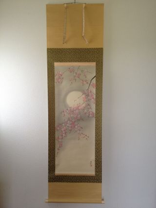 171 ~beautiful Cherry Tree & The Moon~ Japanese Antique Hanging Scroll photo