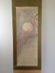171 ~beautiful Cherry Tree & The Moon~ Japanese Antique Hanging Scroll Paintings & Scrolls photo 1