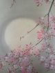 171 ~beautiful Cherry Tree & The Moon~ Japanese Antique Hanging Scroll Paintings & Scrolls photo 3