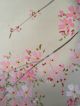 171 ~beautiful Cherry Tree & The Moon~ Japanese Antique Hanging Scroll Paintings & Scrolls photo 4