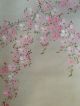 171 ~beautiful Cherry Tree & The Moon~ Japanese Antique Hanging Scroll Paintings & Scrolls photo 5