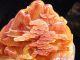 Shoushan Stone,  Fujian,  The Mountains Members,  Furnishing Articles Other photo 2