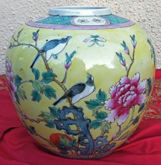 Qing Antique Chinese Famille Rose Jaune Yellow Porcelain Ginger Jar Vase photo