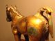 Western Han Dynasty Gilded Horse Maoling Tomb Horses photo 10
