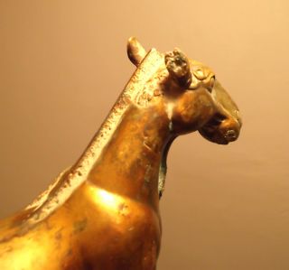 Western Han Dynasty Gilded Horse Maoling Tomb photo