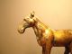 Western Han Dynasty Gilded Horse Maoling Tomb Horses photo 1