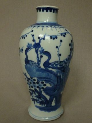 Antique Chinese Blue & White Peacock Vase Kangxi Six Character Mark 19th Century photo