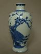 Antique Chinese Blue & White Peacock Vase Kangxi Six Character Mark 19th Century Vases photo 1