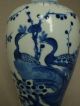 Antique Chinese Blue & White Peacock Vase Kangxi Six Character Mark 19th Century Vases photo 3