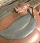 Antique Chinese Yixing Redware Teapot Signed Modelling Pots photo 4