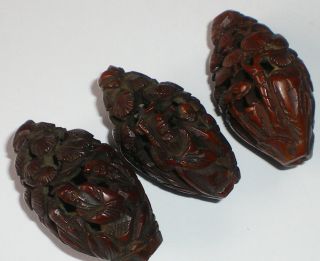 Very Fine Carved Chinese Coquilla Nut Figural Beads Shell Antique X3 Nr photo