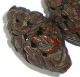 Very Fine Carved Chinese Coquilla Nut Figural Beads Shell Antique X3 Nr Other photo 1