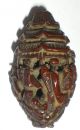 Very Fine Carved Chinese Coquilla Nut Figural Bead Pagoda Shell Antique Nr Other photo 1