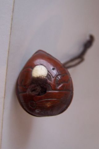 Antique Japanese Carved Nut Netsuke photo