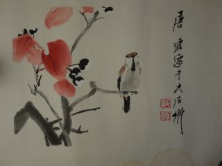 Birds And Flowers Chinese Painting & Scroll Makuri Only Paper photo
