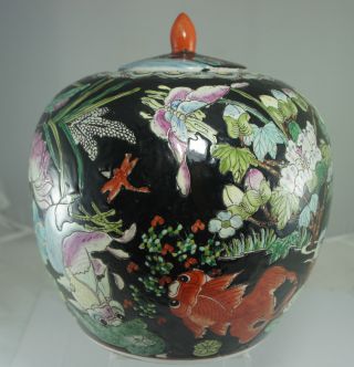 Antique Chinese Bird/fish/lotus Flower Black Vase/urn/caddy/jar W/lid photo