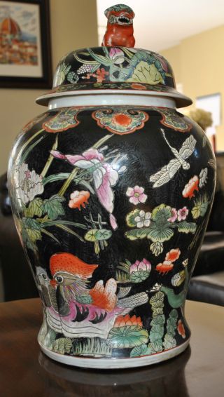 Qing Dinasty Kangxi Mark Famille Noire 18 Inches Jar photo
