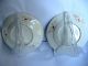 A Pair Of 18th Century Chinese Fam.  Rose Plates Fu - Dog Plates photo 4
