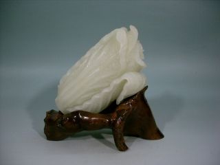 Chinese White Shoushan Stone Wealth Cabbage 1110g photo
